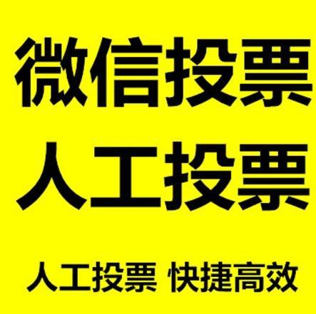 廊坊市投票活动拉票能被查出来吗？如何操作能不被发现？